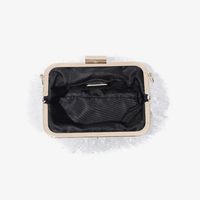 Fringed Evening Bag